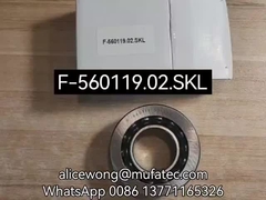 自動車用差軸承