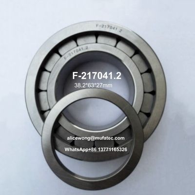F-217041 円筒型ローラー 液圧ポンプベアリング / 液圧ポンプ部品